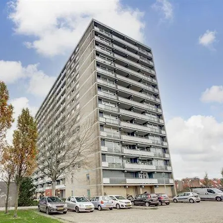 Zuid *
